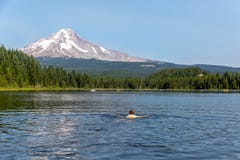 Trillium Lake with Mt Hood in the background royalty free stock images Trillium Lake with Mt Hood in the background royalty free stock images