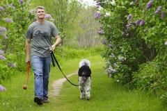 Man walking dog in countryside