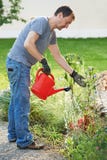 Man watering garden Royalty Free Stock Image Man watering garden Royalty Free Stock Image