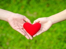 Man and woman heart shape hands hold the red heart. Couple, Love, Valentine`sDay Concept stock photos Man and woman heart shape hands hold the red heart. Couple, Love, Valentine`sDay Concept stock photos