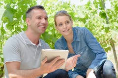 Man and woman next to grape vines holding tablet Royalty Free Stock Photography Man and woman next to grape vines holding tablet Royalty Free Stock Photography