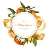 Mandarynu round sztandar ilustracji Mandarynu round sztandar ilustracji