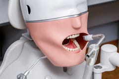 Manequim ou manequim para os estudantes do dentista que treinam em faculdades dentais imagens de stock royalty free Manequim ou manequim para os estudantes do dentista que treinam em faculdades dentais imagens de stock royalty free