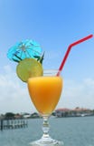 Mango Juice Outdoors Stock Images