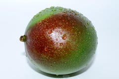 Mango op Witte Achtergrond stock afbeelding Mango op Witte Achtergrond stock afbeelding