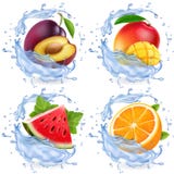 Mango, watermelon, orange, plum in water splash. Fresh fruits realistic vector icon set. royalty free illustration Mango, watermelon, orange, plum in water splash. Fresh fruits realistic vector icon set. royalty free illustration