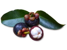 Mangostan owoc z liściem odizolowywającym na bielu obrazy royalty free Mangostan owoc z liściem odizolowywającym na bielu obrazy royalty free