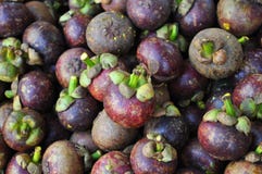 Mangosteen p? f?rs?ljning i marknad royaltyfria bilder Mangosteen p? f?rs?ljning i marknad royaltyfria bilder