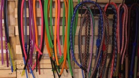 Mangueras del color para el kalabash El escaparate es todo para el shisha almacen de video Mangueras del color para el kalabash El escaparate es todo para el shisha almacen de video