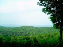 Manhã do verão de Great Smoky Mountains foto de stock Manhã do verão de Great Smoky Mountains foto de stock