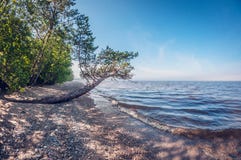 Manhã na costa de um lago bonito, paisagem foto de stock Manhã na costa de um lago bonito, paisagem foto de stock