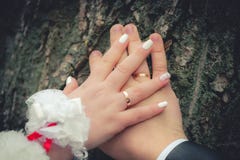 Mani della sposa e dello sposo su un tronco di albero immagine stock Mani della sposa e dello sposo su un tronco di albero immagine stock