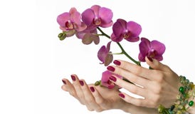 Manicure, orquídea e grânulos Fotos de Stock Royalty Free Manicure, orquídea e grânulos Fotos de Stock Royalty Free