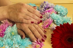 Manicure z Burgundy gel lakierem obrazy royalty free Manicure z Burgundy gel lakierem obrazy royalty free