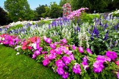 Manicured flower garden with colorful azaleas. Royalty Free Stock Photo Manicured flower garden with colorful azaleas. Royalty Free Stock Photo