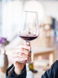 Manlig hand som rymmer ett exponeringsglas av rött vin på vinavsmakning i Setugal vinregion, Portugal royaltyfri bild Manlig hand som rymmer ett exponeringsglas av rött vin på vinavsmakning i Setugal vinregion, Portugal royaltyfri bild