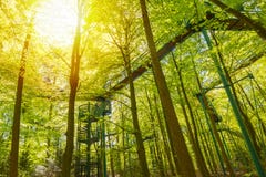 Manmade struktura i most doświadczać treetops przygody wyzwanie w lesie zdjęcie stock Manmade struktura i most doświadczać treetops przygody wyzwanie w lesie zdjęcie stock