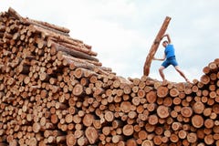 Mann auf großen Stapel von den Klotz, die schweren Klotz - Training anheben stockbild Mann auf großen Stapel von den Klotz, die schweren Klotz - Training anheben stockbild