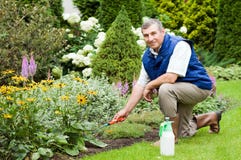 Mann, der Garten harkt Mann, der Garten harkt