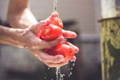 Mannwäschetomaten unter Spritzen des Süßwassers am sonnigen Tag stockbild Mannwäschetomaten unter Spritzen des Süßwassers am sonnigen Tag stockbild