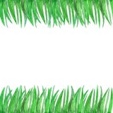 Mano che annega il modello dell'erba verde dell'acquerello royalty illustrazione gratis Mano che annega il modello dell'erba verde dell'acquerello royalty illustrazione gratis