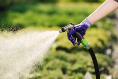 Mano con le piante di innaffiatura del tubo flessibile di giardino, concetto di giardinaggio del ` s della donna immagine stock libera da diritti Mano con le piante di innaffiatura del tubo flessibile di giardino, concetto di giardinaggio del ` s della donna immagine stock libera da diritti