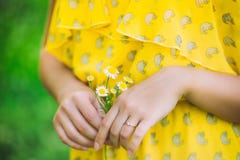 Mano della donna con una camomilla immagini stock Mano della donna con una camomilla immagini stock