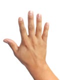 Mano isolata nel fondo bianco fotografie stock libere da diritti Mano isolata nel fondo bianco fotografie stock libere da diritti