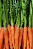 Manojo de zanahorias Manojo de zanahorias