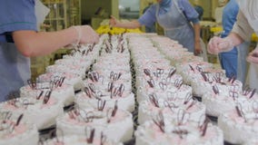 Manos de los confiteros que adornan las tortas en transportador Proceso de producción de la torta almacen de metraje de vídeo Manos de los confiteros que adornan las tortas en transportador Proceso de producción de la torta almacen de metraje de vídeo
