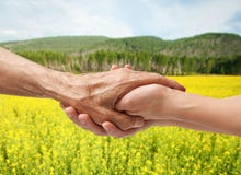 Manos de un mayor mayor que lleva a cabo la mano de una mujer imagen de archivo Manos de un mayor mayor que lleva a cabo la mano de una mujer imagen de archivo