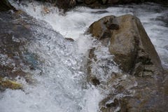 Mantequeras del agua alrededor de una roca en un río foto de archivo libre de regalías Mantequeras del agua alrededor de una roca en un río foto de archivo libre de regalías