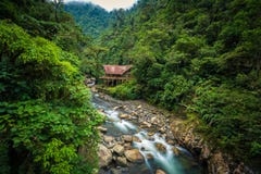 Manu National Park, Peru - 5. August 2017: Dschungelhäuschen durch a lizenzfreies stockbild Manu National Park, Peru - 5. August 2017: Dschungelhäuschen durch a lizenzfreies stockbild