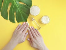 Manucure femelle de mains créative, crème cosmétique, feuille de monstera, sur un fond jaune images stock Manucure femelle de mains créative, crème cosmétique, feuille de monstera, sur un fond jaune images stock