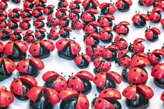 Many artificial lady bug toy royalty free stock photography Many artificial lady bug toy royalty free stock photography