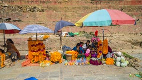 Vendors sell garland , flower girl , after earthquake , Kathmandu , Nepal royalty free stock photo Vendors sell garland , flower girl , after earthquake , Kathmandu , Nepal royalty free stock photo