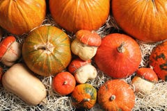 Many different pumpkins as background, closeup Royalty Free Stock Photos Many different pumpkins as background, closeup Royalty Free Stock Photos