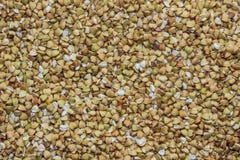 Many seeds of green buckwheat (may be used as background) Royalty Free Stock Photo Many seeds of green buckwheat (may be used as background) Royalty Free Stock Photo