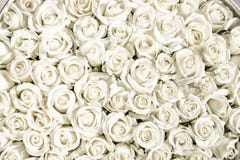 Many White Roses Are A Top View. Royalty Free Stock Photos