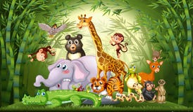 Many Wild Animals In Bamboo Forest Stock Images