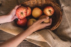 Manzanas en una cesta tomada por una mujer fotografía de archivo Manzanas en una cesta tomada por una mujer fotografía de archivo