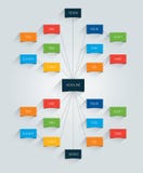 Mapa de mente, organigrama, infographic Imagen de archivo Mapa de mente, organigrama, infographic Imagen de archivo
