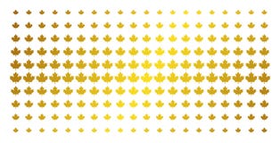 Maple Leaf Golden Halftone Pattern vector illustration Maple Leaf Golden Halftone Pattern vector illustration