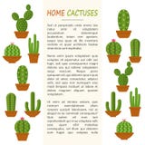 Maqueta casera de los cactus stock de ilustración Maqueta casera de los cactus stock de ilustración