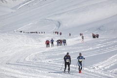 Marathon de Svalbard de marathon de ski de pays en travers images libres de droits Marathon de Svalbard de marathon de ski de pays en travers images libres de droits