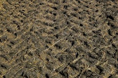 Marcas de la pisada de los neumáticos del tractor imagenes de archivo Marcas de la pisada de los neumáticos del tractor imagenes de archivo