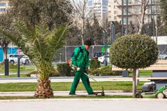 March 15, 2017 seaside Park, Baku, Azerbaijan. Gardeners produce gardening in the city Park stock photos March 15, 2017 seaside Park, Baku, Azerbaijan. Gardeners produce gardening in the city Park stock photos