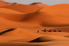 Marche dans le désert Marche dans le désert