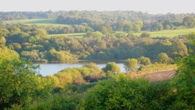 Marche dans le Weald - au sud de l'Angleterre images libres de droits Marche dans le Weald - au sud de l'Angleterre images libres de droits