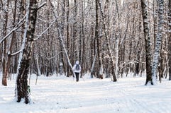 Marche nordique Femme dans une veste blanche avec un sac à dos augmentant dans paysage scénique de forêt froide un beau avec la n Images stock Marche nordique Femme dans une veste blanche avec un sac à dos augmentant dans paysage scénique de forêt froide un beau avec la n Images stock